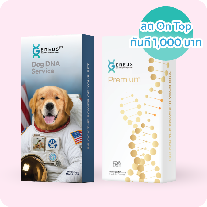 Geneus Pets DNA services hero