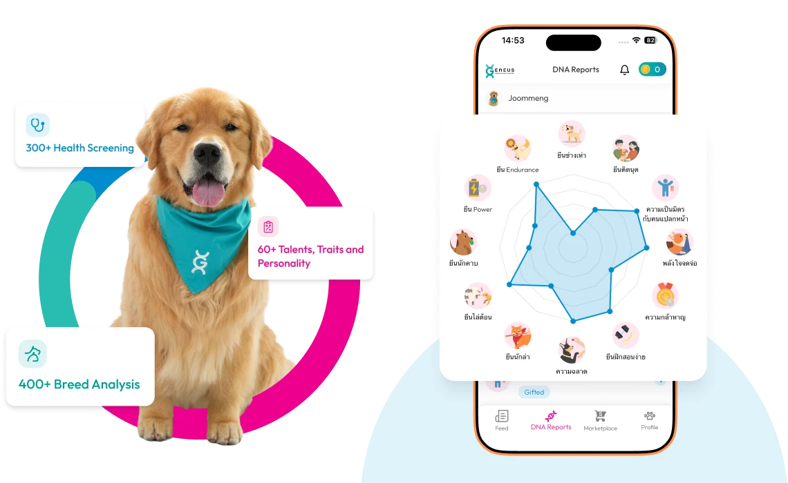 Geneus Pet DNA Sample Report 1