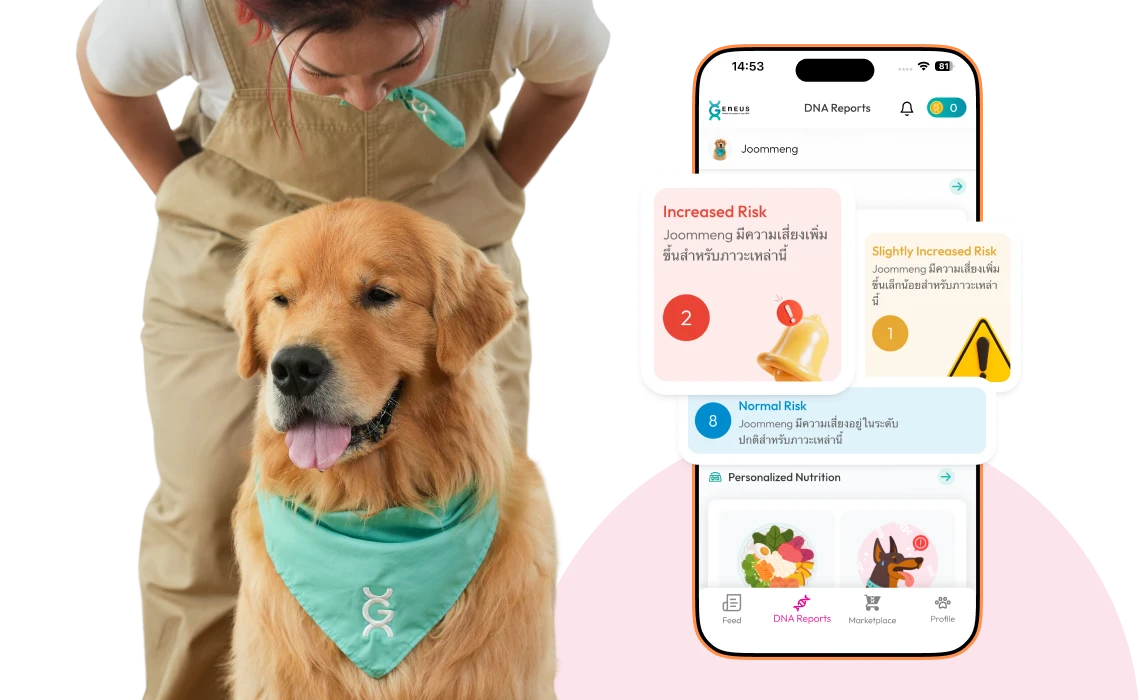 Preview of sample report 2