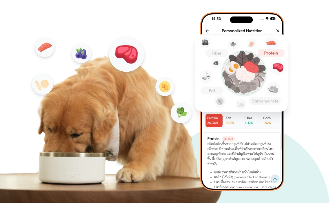 Preview of sample report 3