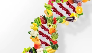 โภชนาการตาม DNA